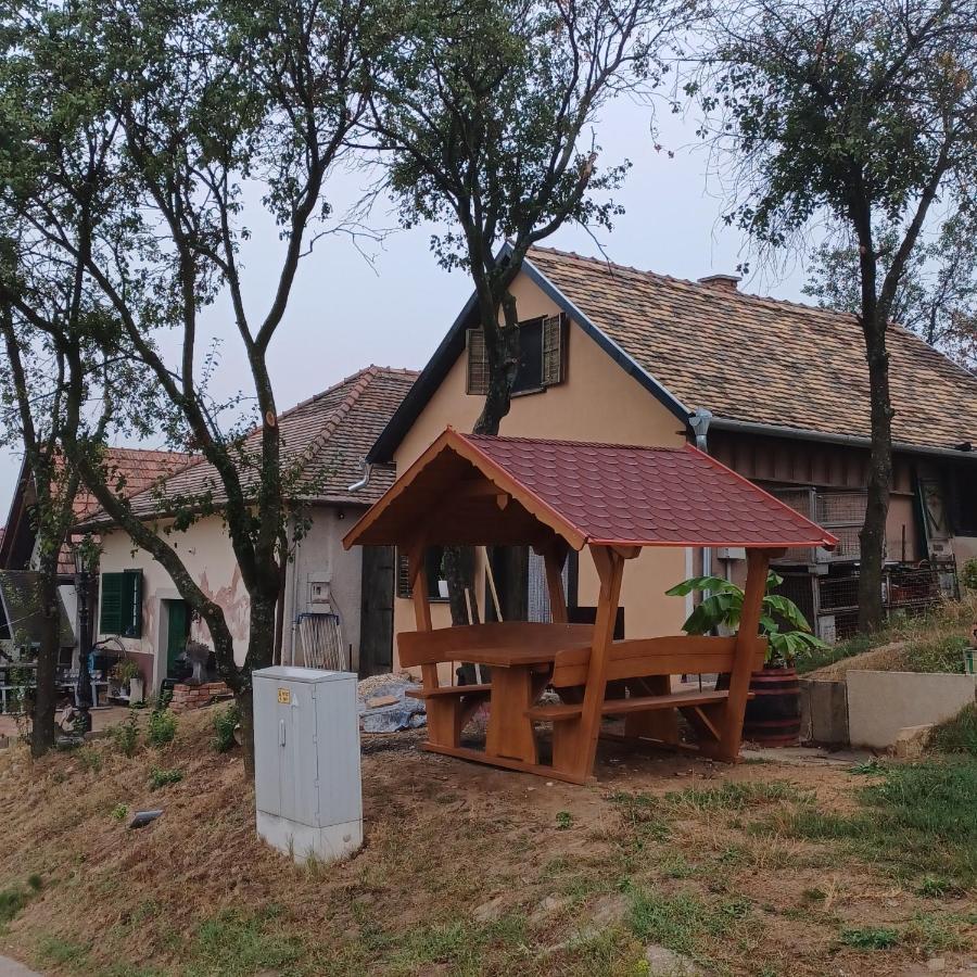 Macskajaj Vendeghaz Villa Mecseknadasd Exterior photo