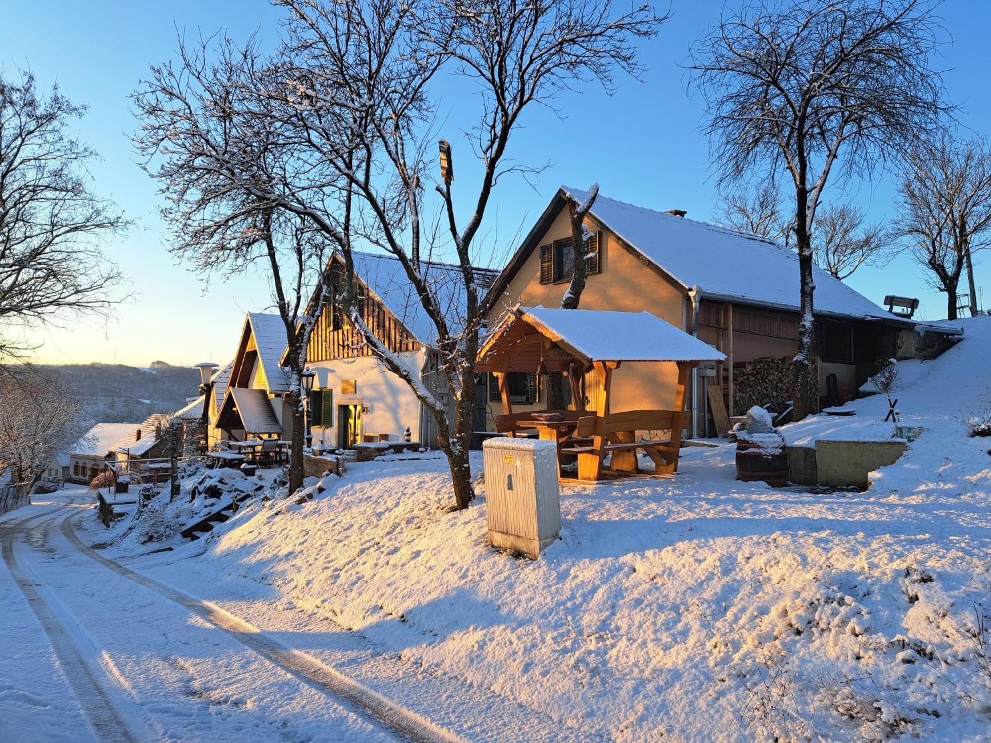Macskajaj Vendeghaz Villa Mecseknadasd Exterior photo